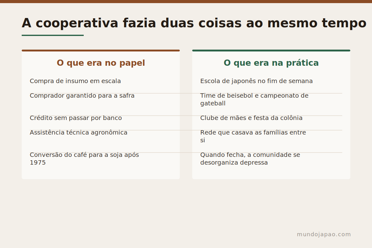 A cooperativa como estrutura social O papel da cooperativa agrícola nas colônias japonesas